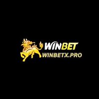 winbetxpro